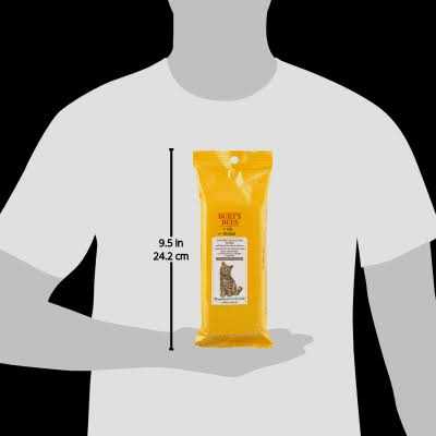 Dander Reducing Wipes for Cats Y533234