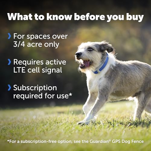 GPS Dog Collar with App, Waterproof Rechargeable (Blue, Grey) T4716