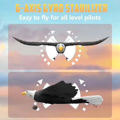 2 CH RC Plane Ready to Fly I7903