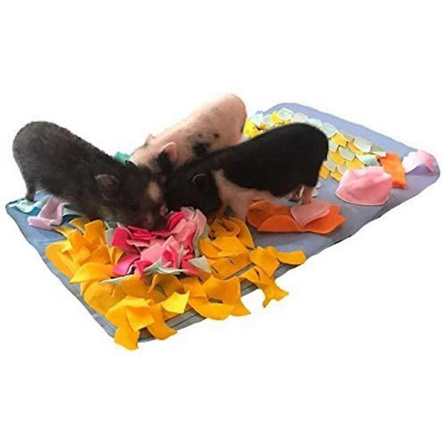 Pig Rooting Snuffle Mat C46116