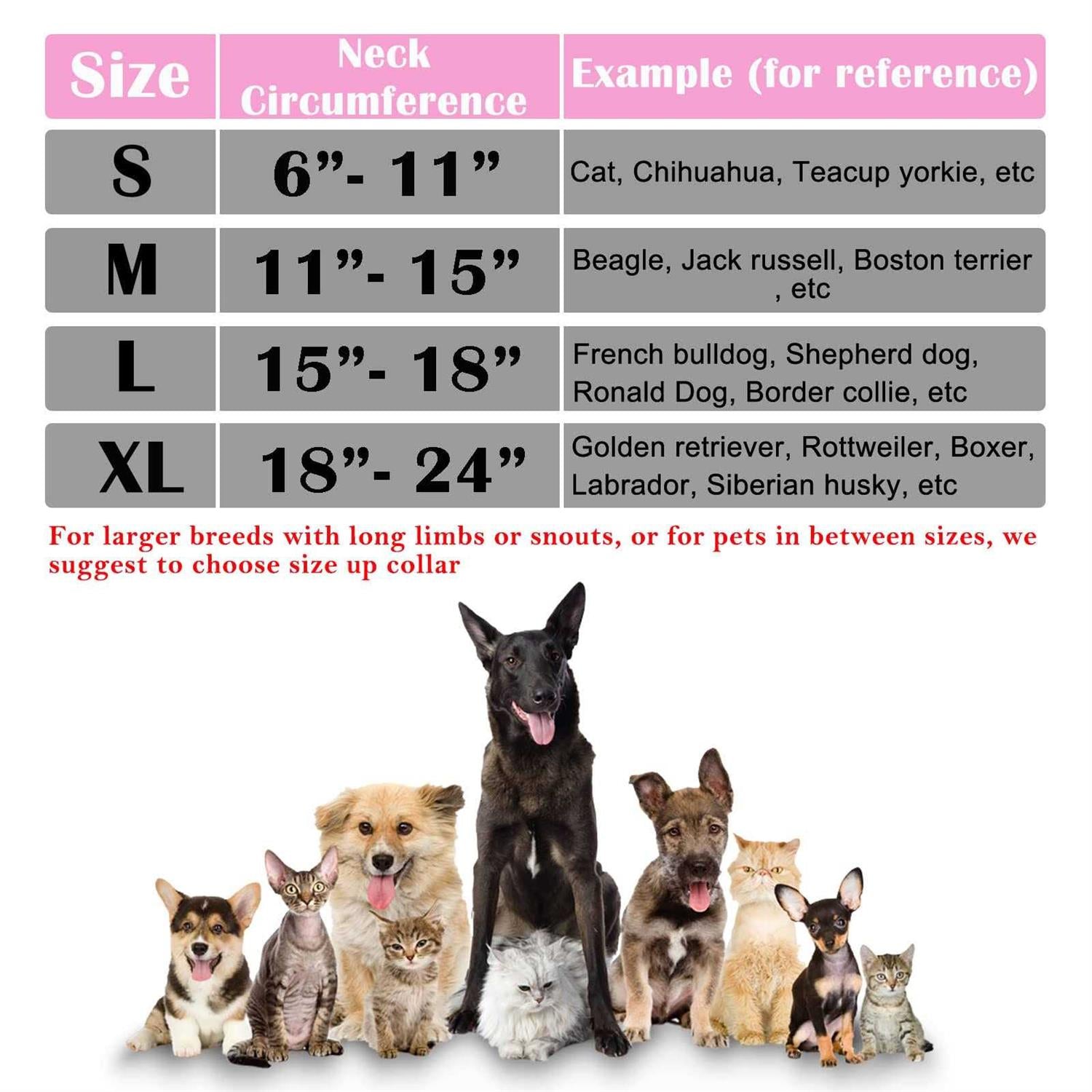 Inflatable Dog Collar R449