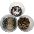 Small Roach Hornworm & Superworm Live Feeder Combo Reptile Food O457509