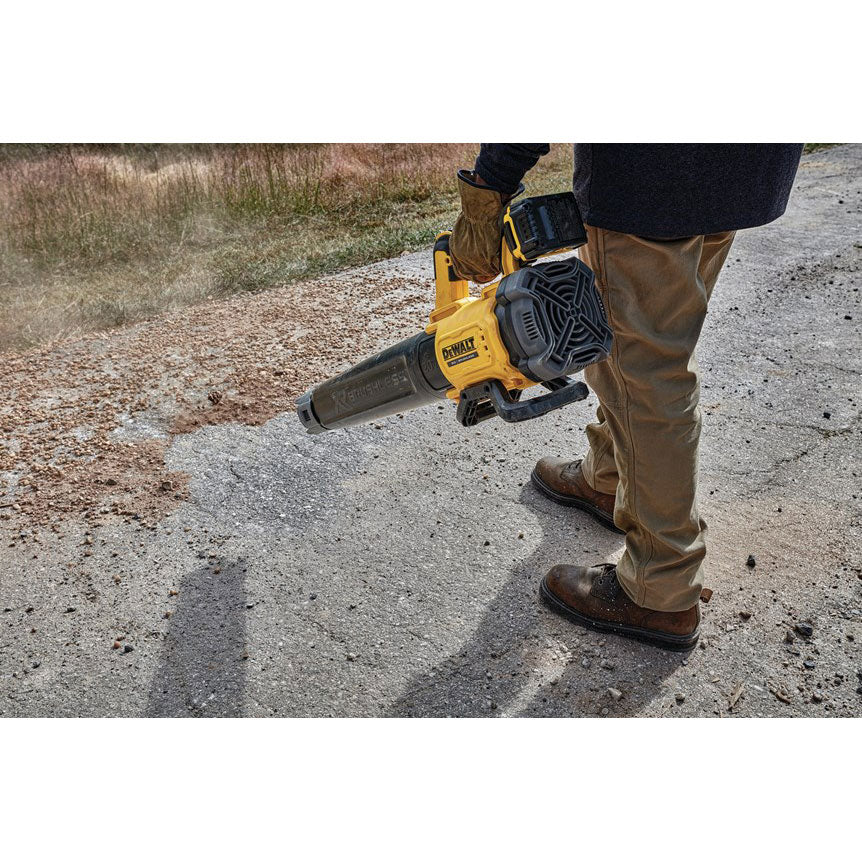 20V Max Brushless Handheld Blower Kit P765932
