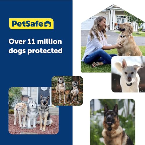 GPS Dog Collar with App, Waterproof Rechargeable (Blue, Grey) T4716