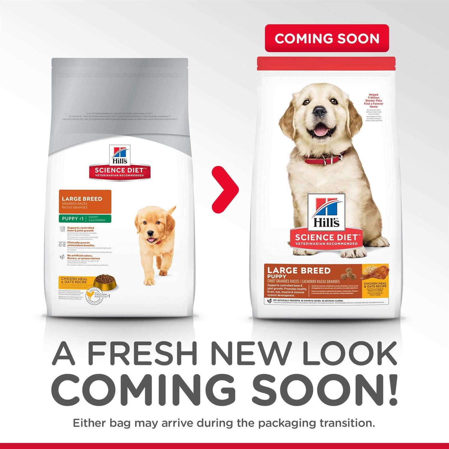 Large Breed Puppy Chicken Recipe Dry Dog Food L1125