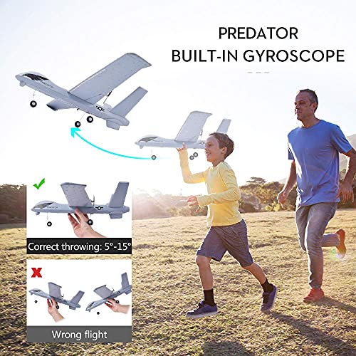 2.4Ghz 2 Channels RC Plane with 2 Batteries, Wingspan 660mm C5312