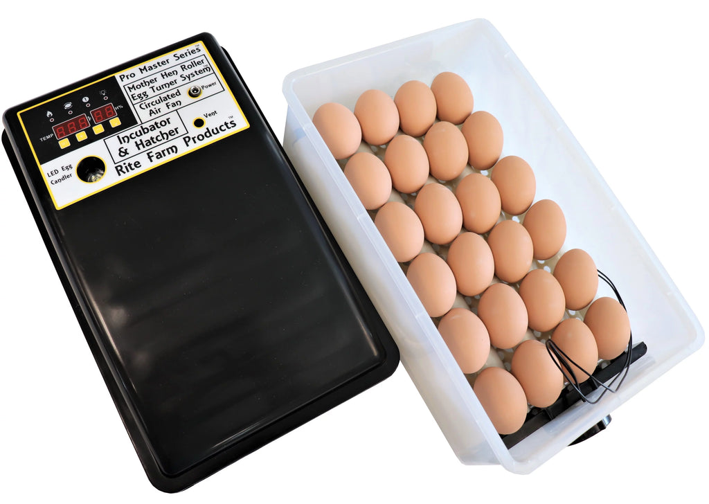 24 Chicken Egg Incubator & Hatcher Turner V298614