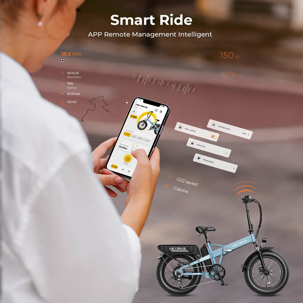 Foldable Electric Bike with 48V 12.5AH Removable Battery G4962