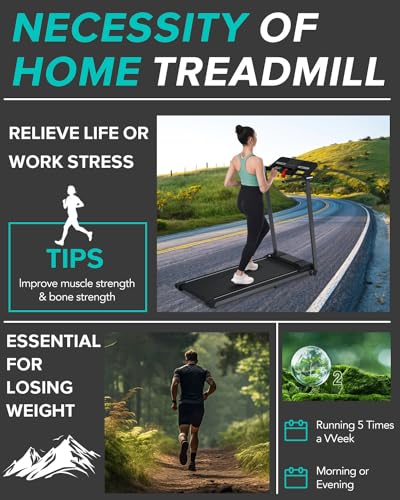 2.5HP Electric Treadmill with LCD Display E651