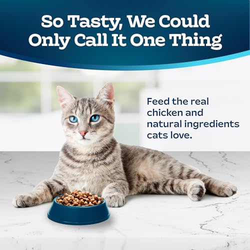 15-lb. Bag Dry Cat Food C286779