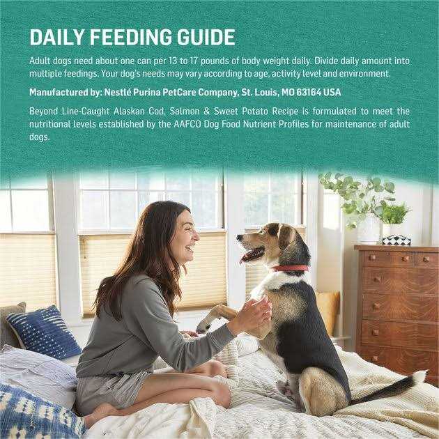 Grain-Free Canned Dog Food V31240
