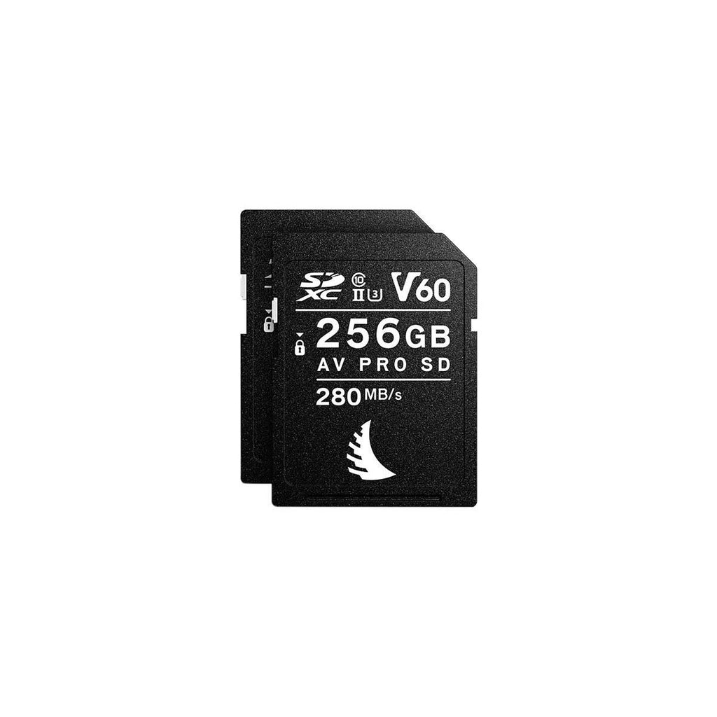 256gb UHS-II SDXC Memory Card (2-Pack) L214291