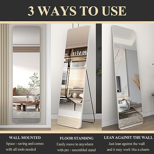 39"x 12" Black Full Length Wall Mounted Mirror L21012