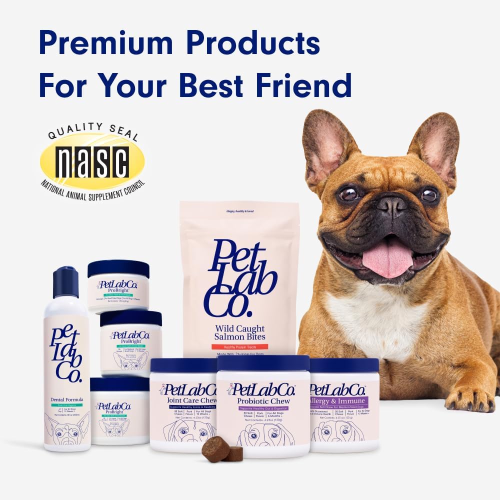 Oral Hygiene & Gut Health Bundle: Dental Powder & Probiotics for Dogs R854752