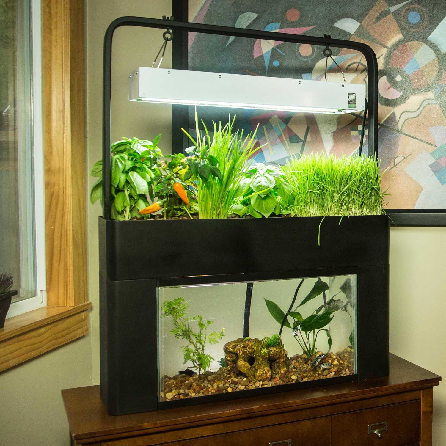 AquaSprouts Garden kit C259709
