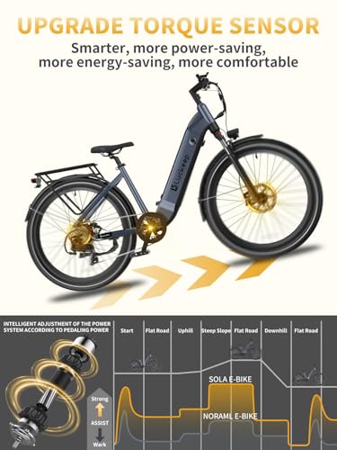 27.5" Electric Bike with 48V Battery, Front Suspension & Dual Hydraulic Brakes T385