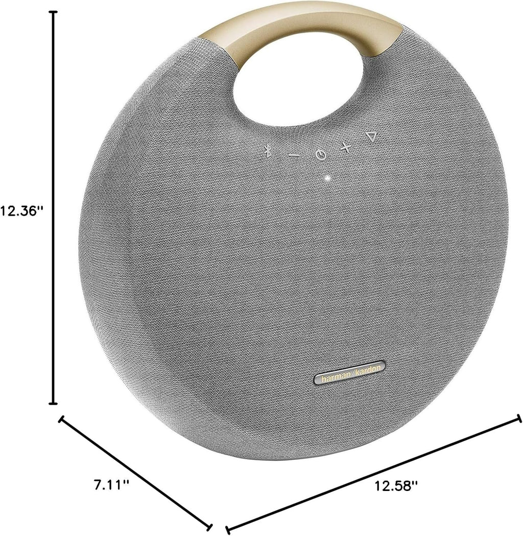 Gray Bluetooth Speaker with Handle O186913
